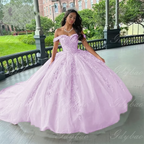 Pink Off Shoulder Tulle Princess Gown – Women’s Lace Formal Party Dress